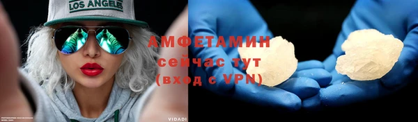 шишки Шадринск