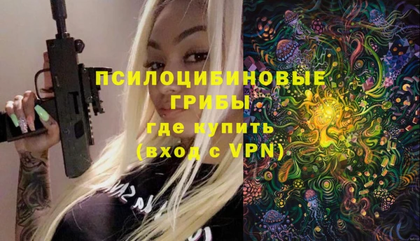 гидра Баксан