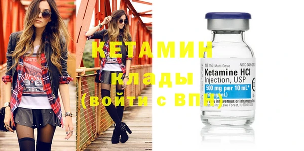 шишки Шадринск