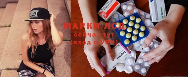 индика Шали